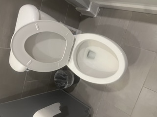 Move-out cleaning toilet